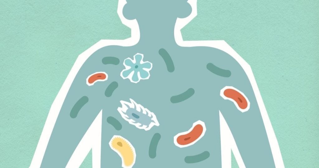 Cutout paper illustration of person with bacilli in body