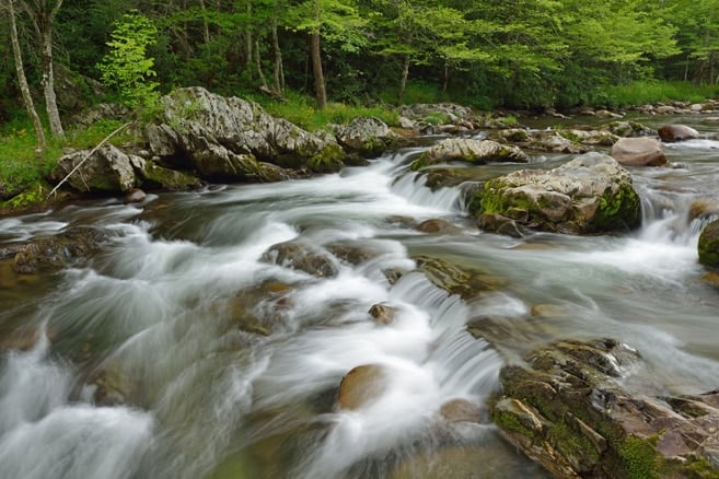 River Flowing in Spring