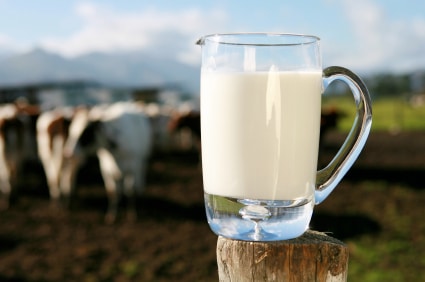 Cow Milk Glass