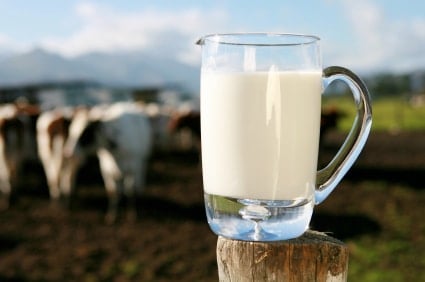 Cow Milk Glass