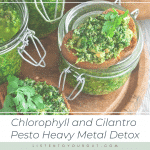 Chlorophyll and Cilantro Pesto Heavy Metal Detox