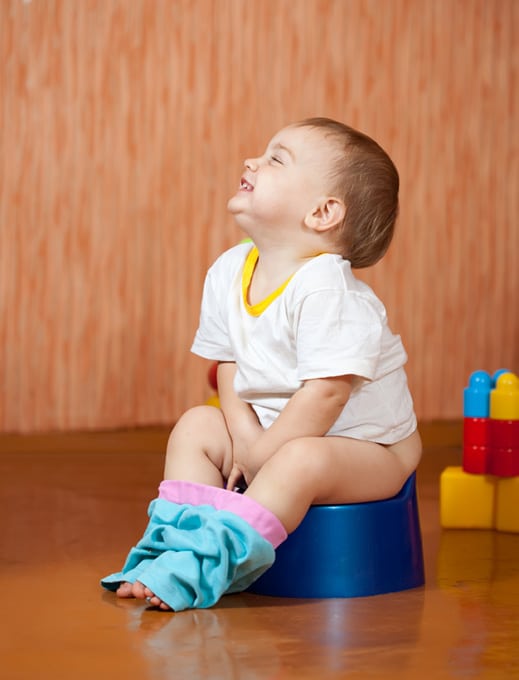 toddler-toilet