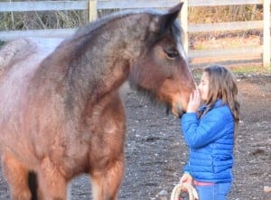girl-kiss-horse