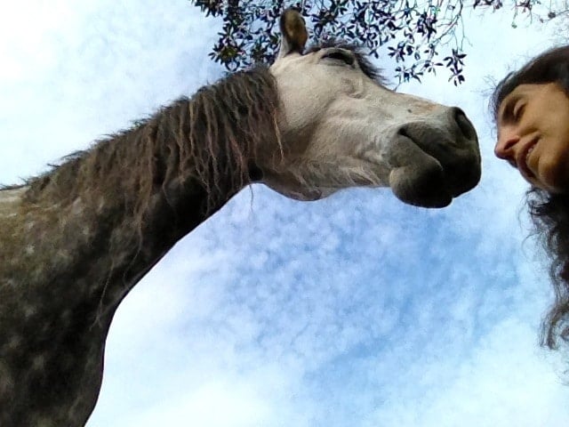 Jini Meditating with Her Horse Zorra