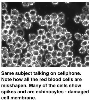 cell-talking