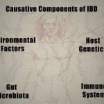 Causative Components of IBD