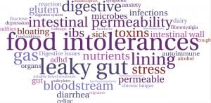 SIBO, IBS & Gut Issues