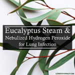 Eucalyptus Steam & Nebulized Hydrogen Peroxide for Lung Infection