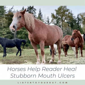 Horses Help Reader Heal Stubborn Mouth Ulcers