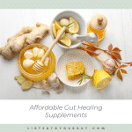 affordable alternatives for gut healing supplements